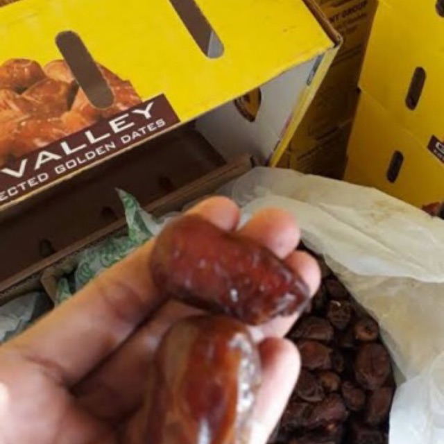 

Kurma Golden Valley