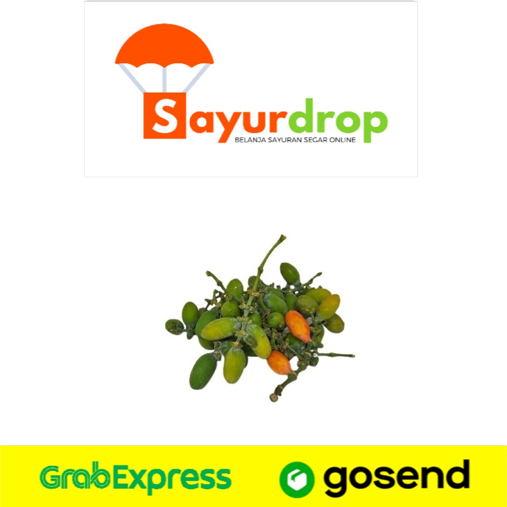 

BUAH Melinjo/Tangkil 50 Gr - Segar Higienis Murah Cepat - Instant/Same Day Delivery (Sayurdrop)