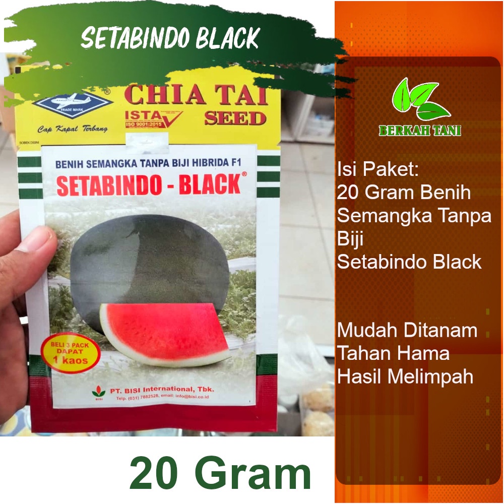 Setabindo Black 20 Gram Stabindo Black Benih Semangka Hibrida Tanpa Biji