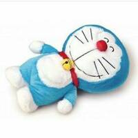 nennynurhayatiputriwihardjo