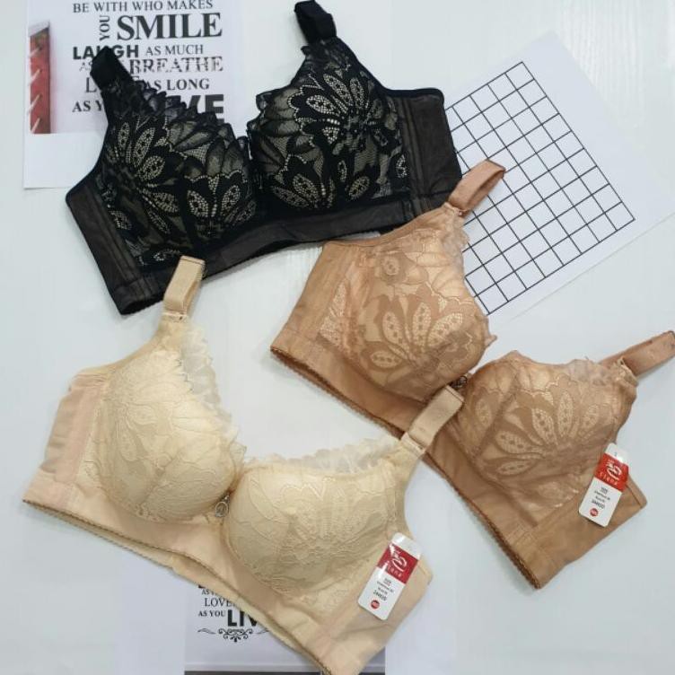 BRA | BH ELENA E  | Big Cup Sayap Lebar Penutup Lemak Samping Brokat Busa Tipis Kawat Kait 4 H1D1