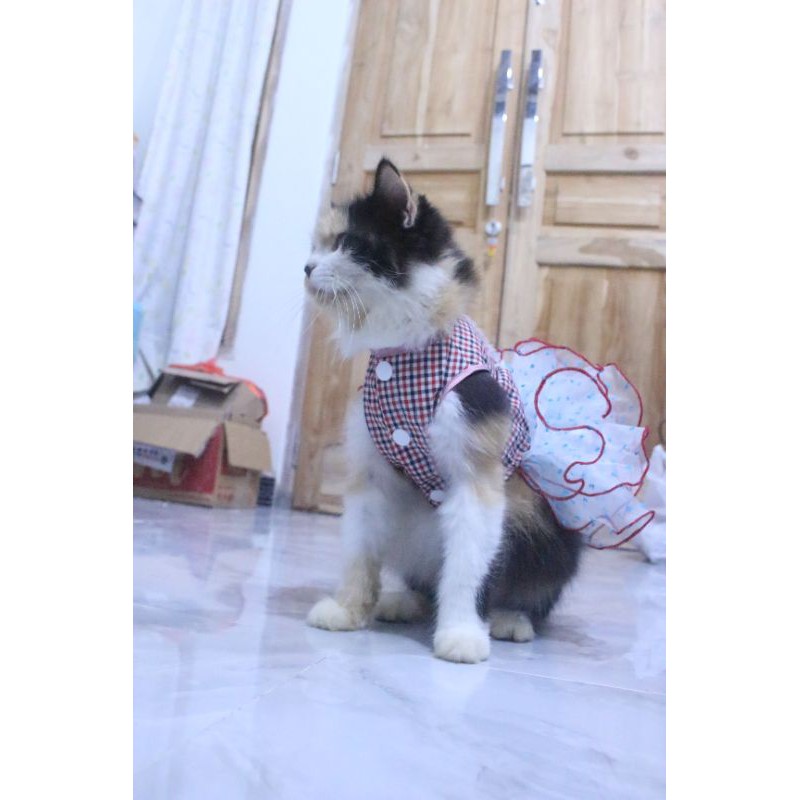 Dress tutu princess #364 lucu untuk kucing dan anjing / baju kucing murah size S M L XL