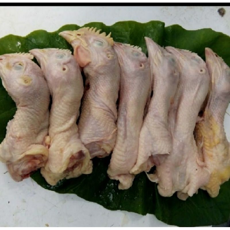 

kepala ayam negeri/broiler