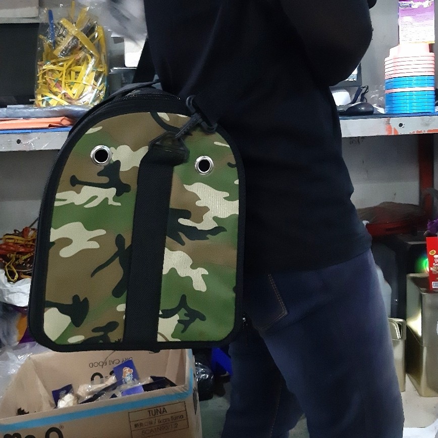 Tas Hewan peliharaan Selempang jinjing Pet Cargo 2 in 1 Travel anjing kucing motif LV