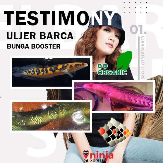 ULJER BARCA [SUPER GROWTH++] ULAT JERMAN 40gr BUNGA BOOSTER  - Pakan Pelet Ikan Channa, Koki, Arwana, Louhan, Koi &amp; ikan hias lainnya