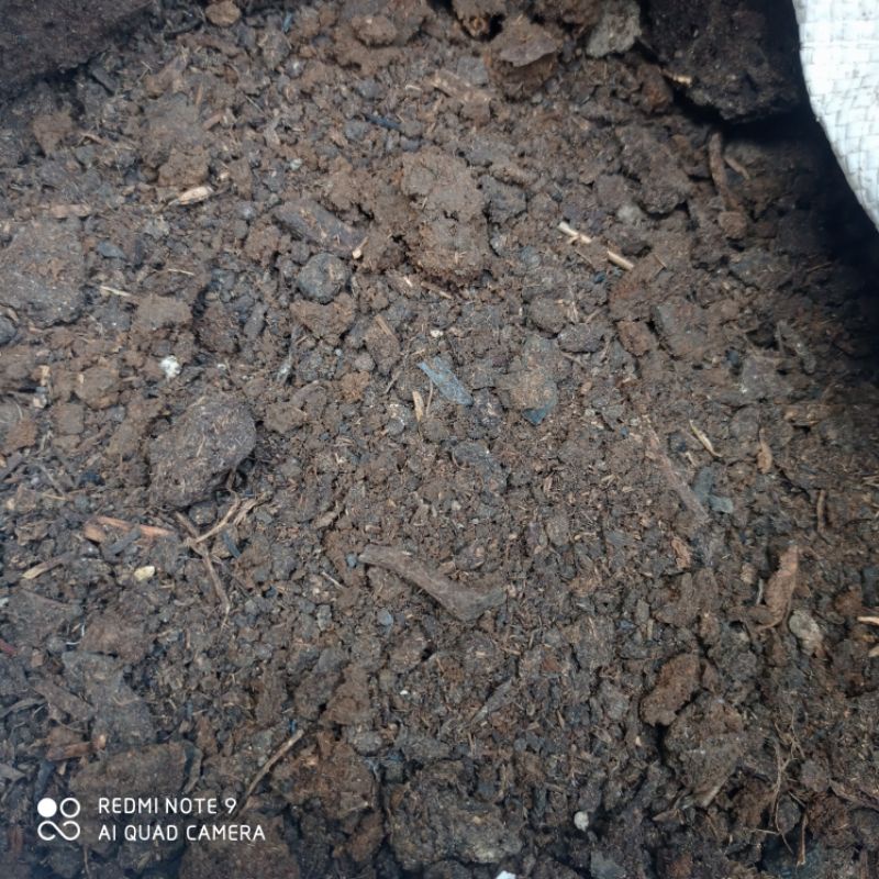 pupuk kandang murni tai sapi dan kohe kambing jual perkilo