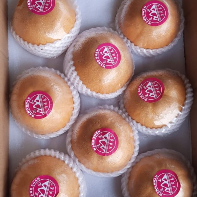 

Gift Box Sincia