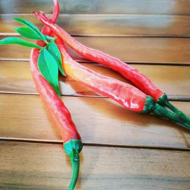 

CABE MERAH KERITING | CABE IJO KERITING | SAYURAN SEGAR