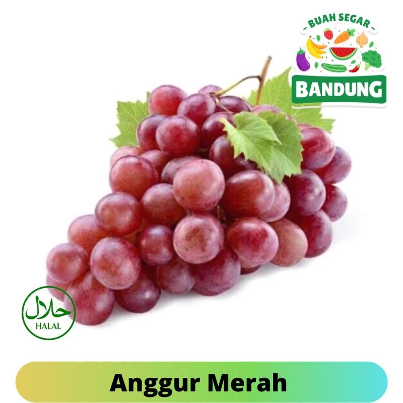 

ANGGUR IMPORT PREMIUM FRESH 500GRAM
