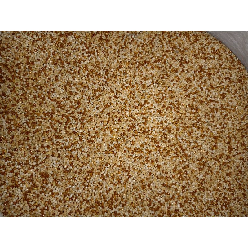 Milet putih campur milet merah 25kg - milet karungan