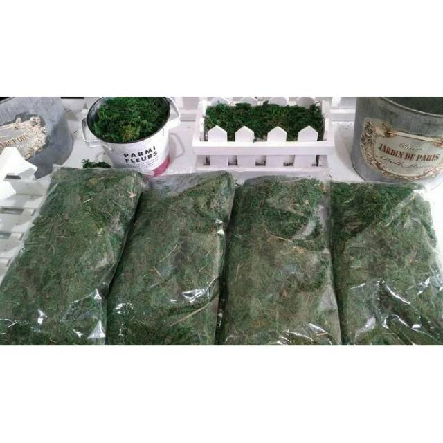 Lumut Kering Rumput Kering premium artificial green moss