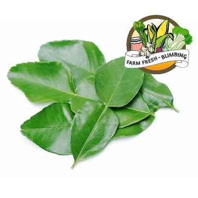 

daun jeruk 100gr