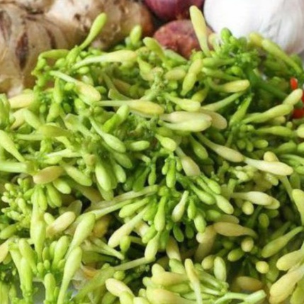 

1kg Kembang Pepaya Segar/ Bunga Pepaya