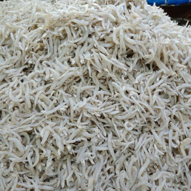 

Teri nasi