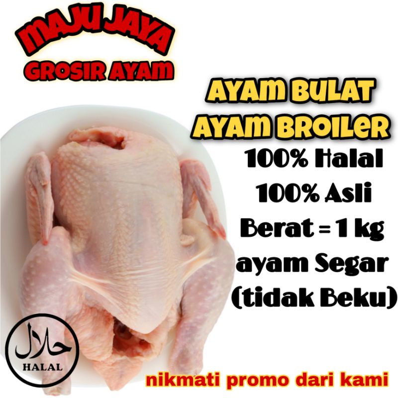 AYAM BROILER 1 KG / AYAM UTUH / AYAM 1 EKOR / AYAM SEGAR / AYAM FRESH / AYAM MURAH / AYAM BERKUALITA