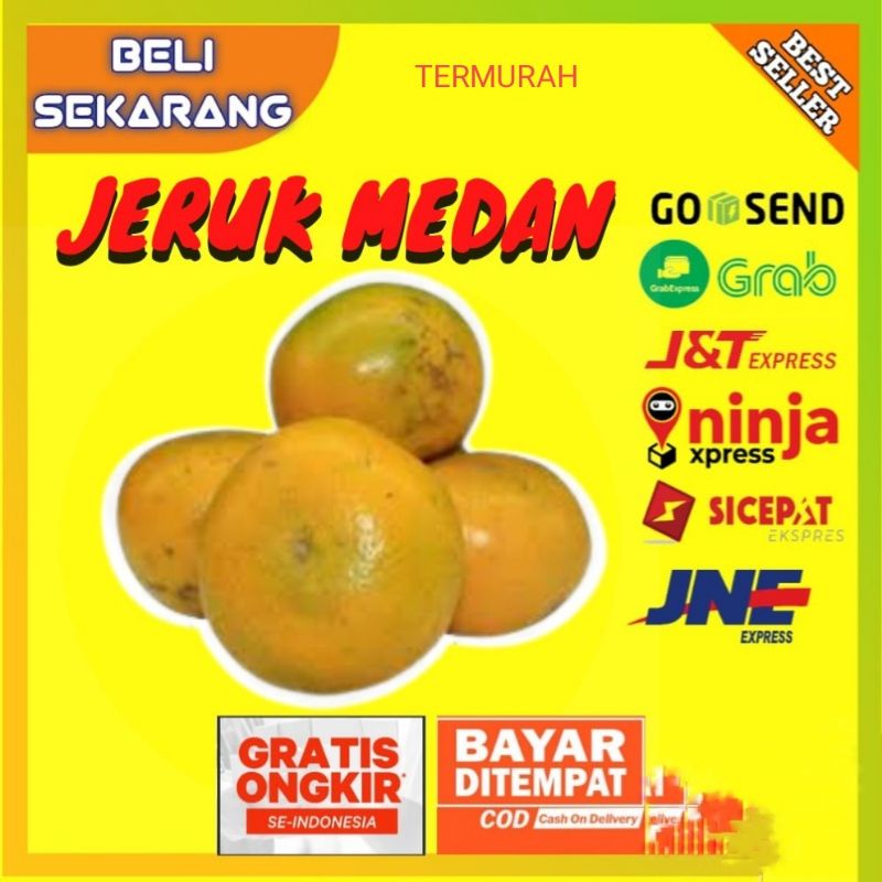 buah jeruk medan brastagi manis