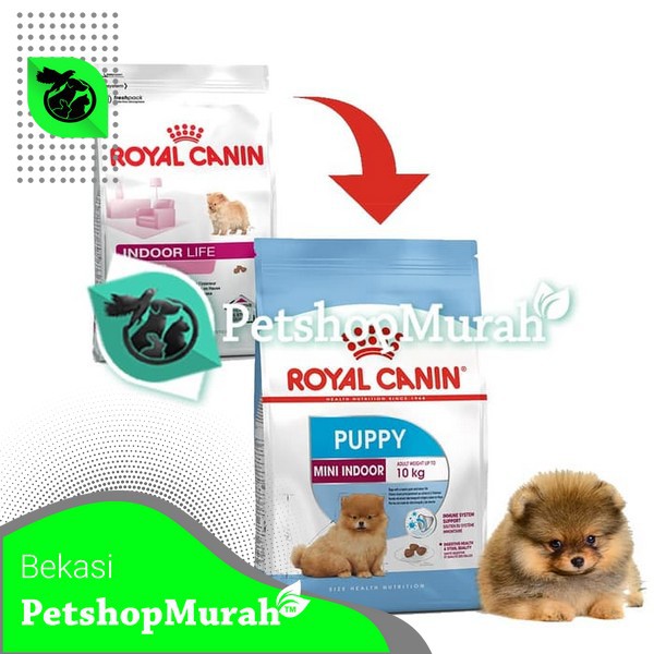 Makanan Anjing Royal Canin Mini Indoor Puppy 1.5 Kg Makanan Anak Anjing 1,5kg