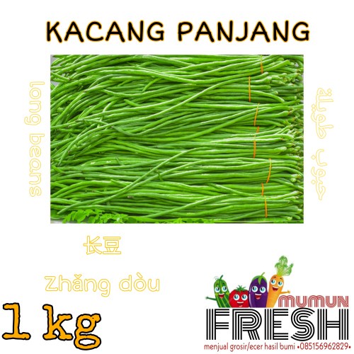

KACANG PANJANG