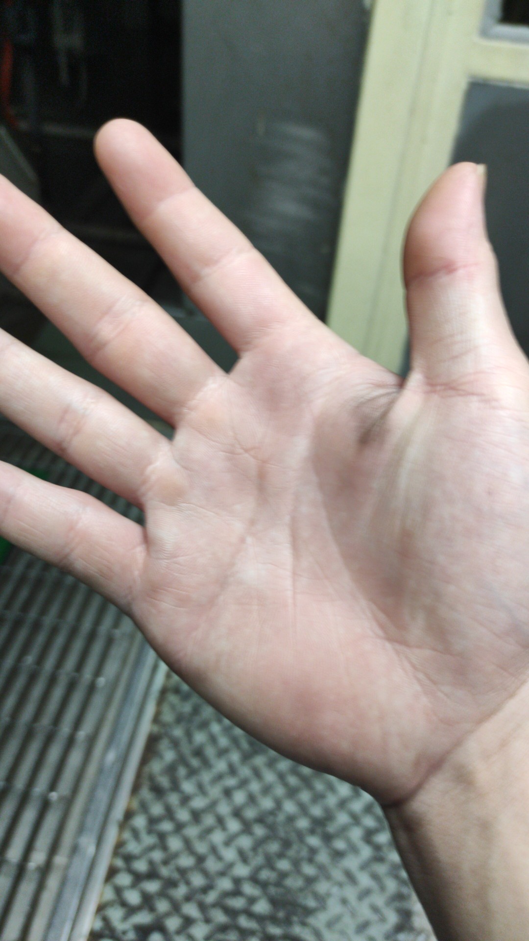 Pisau Apel /pisau Buah Murah