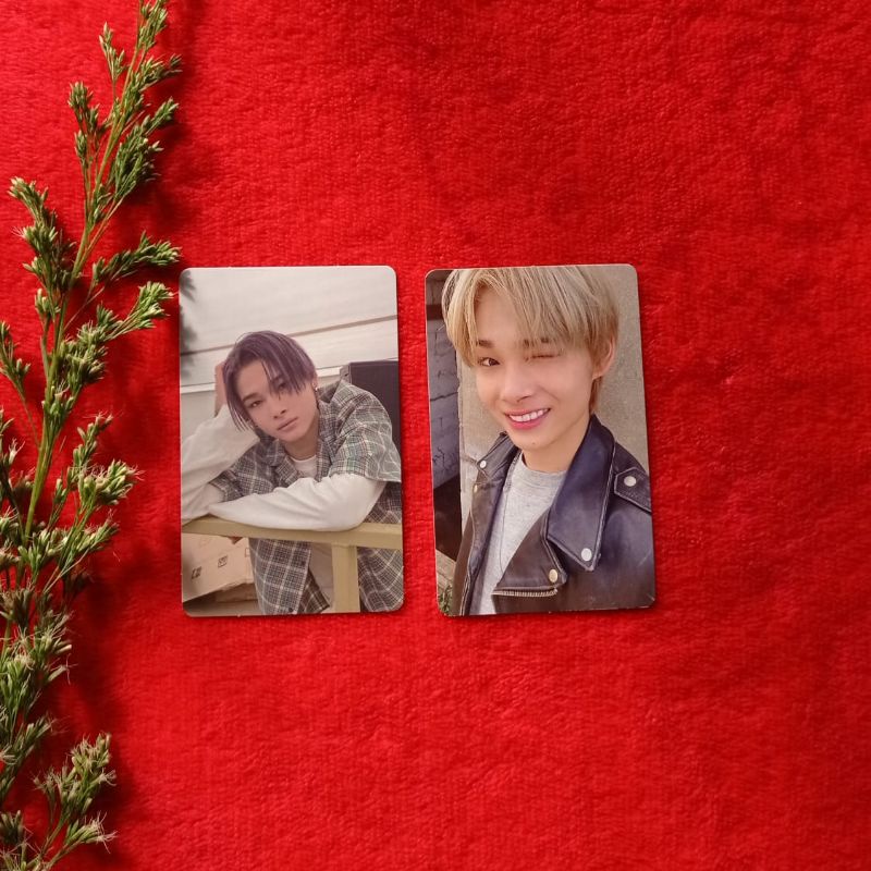 Pc niki dawn bdo/niki gengmo/niki down bdc official