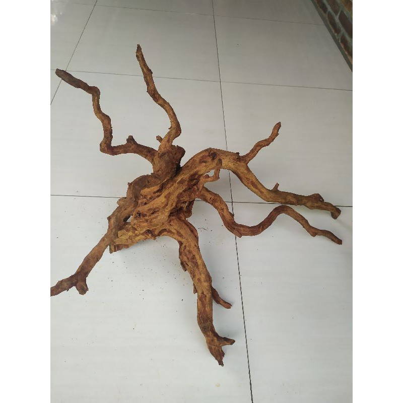 kayu aquascape rasamala size jumbo