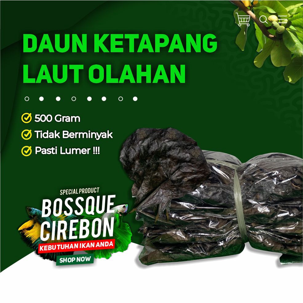 Daun Ketapang Olahan 500gram Fermentasi Kualitas Super Lumer Kering Siap Pakai Untuk Ikan Cupang Channa Arwana