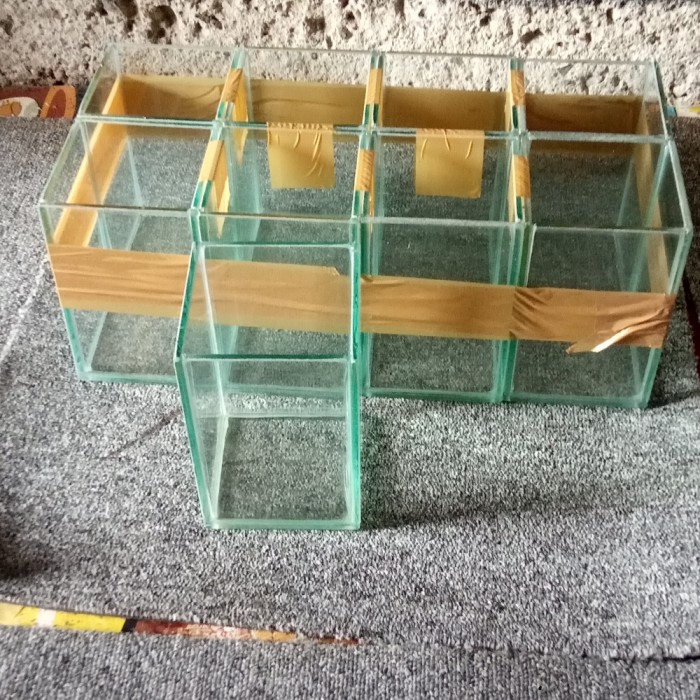 soliter kaca cupang guppy hiass 10x10x15