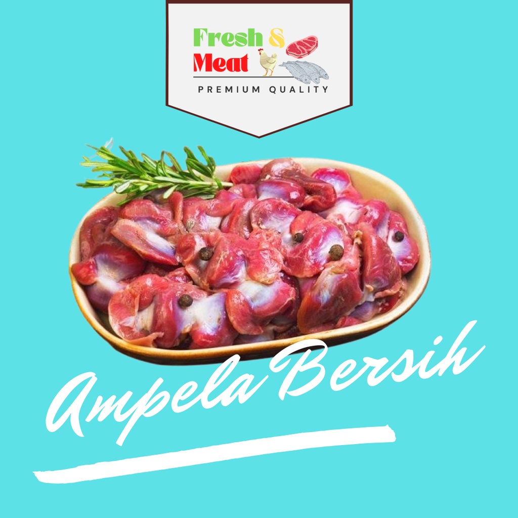 

Ampela Ayam Bersih