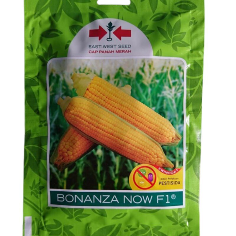Benih Bibit Jagung Manis Hibrida Unggul Bonanza Now 200 Biji F1 Bonansa