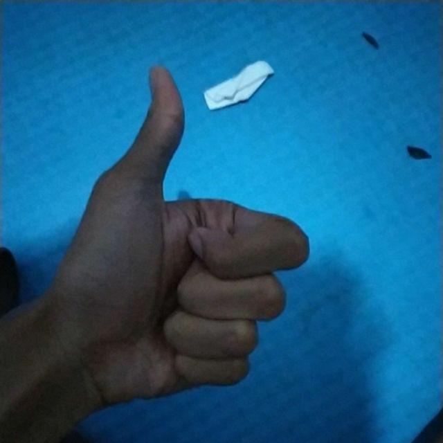 Terpal Jadi Plastik 2 M X 4 M / Terpal Biru