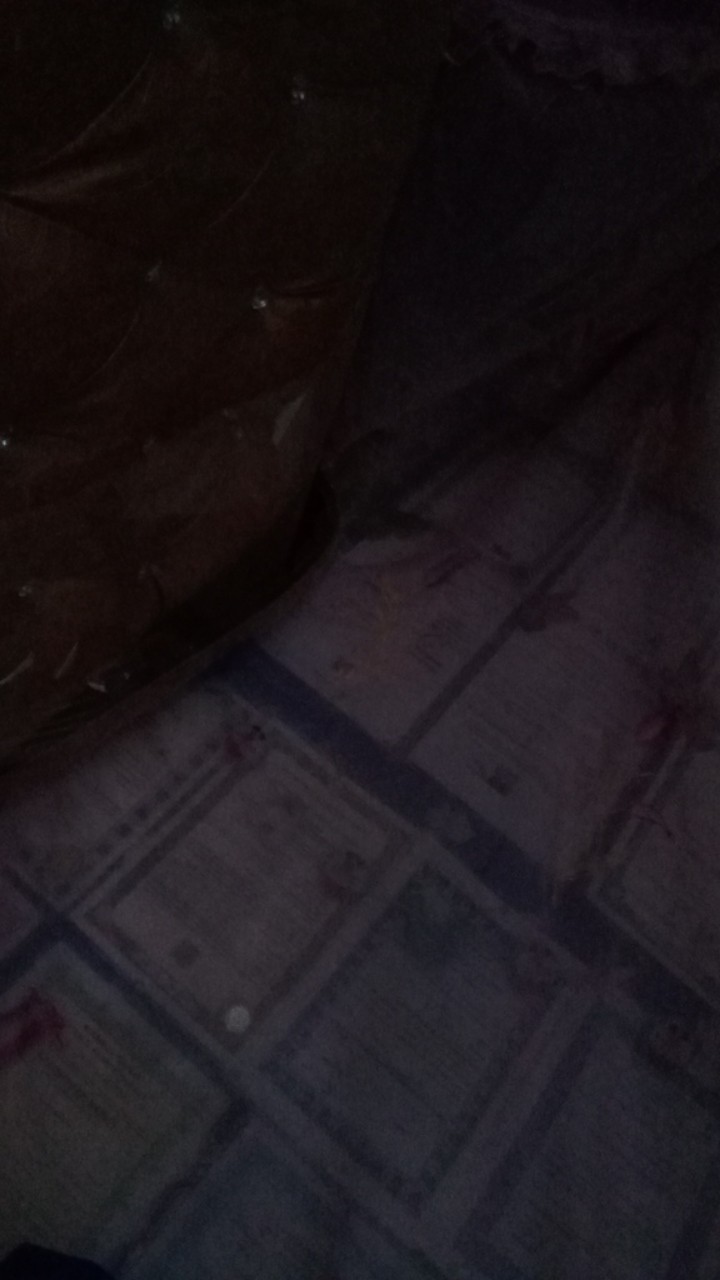 Alas Eceng Gondok | Alas Foto