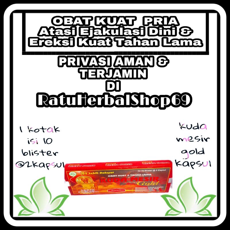 kuda mesir gold original