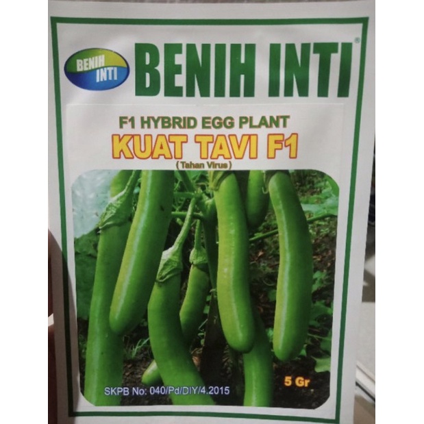 Benih Terong hijau KUAT TAVI F1 5gr BENIH INTI