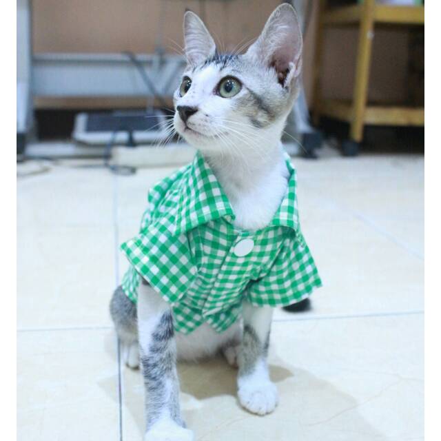 Kemeja kotak-kotak hijau lucu untuk kucing dan anjing size S M L XL / baju kucing murah