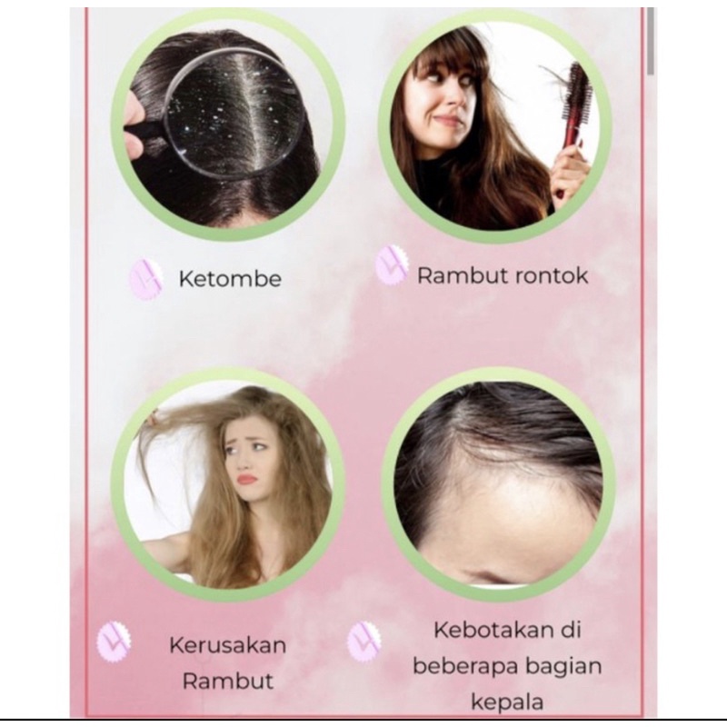 SHAMPO 650 ML CAMELLIA JEPANG/ Sampo Penumbuh rambut jepang / SHAMPO MEMANJANGKAN RAMBUT