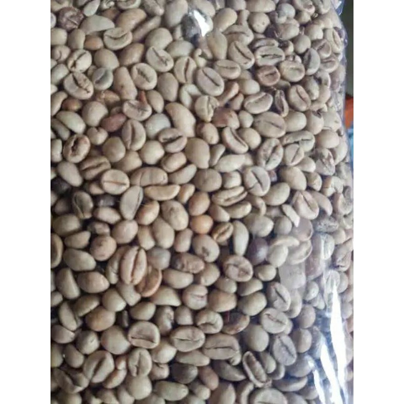 

BIJI KOPI ROBUSTA 1 KG