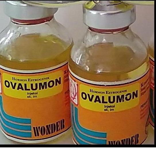 Harga Spesial.. OVALUMON 20ML OVALUMON 5ML OVALUMON OBAT BIRAHI OVALUMON KUCING UNTUK BABI SUNTIK KE