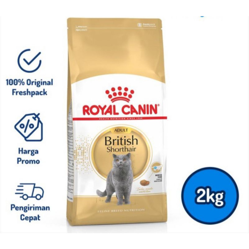 royal canin British Short hair adult 2 kg - freshpack