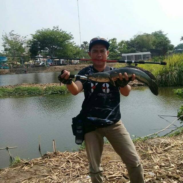 agussawali