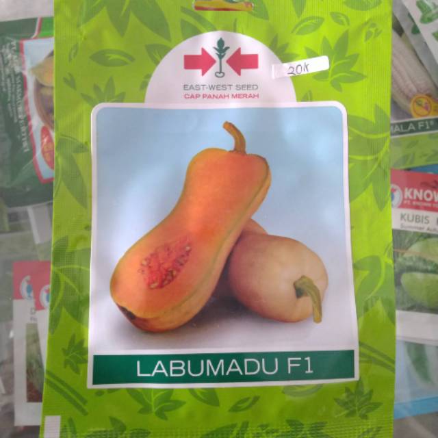 Benih labu madu f1 panah merah