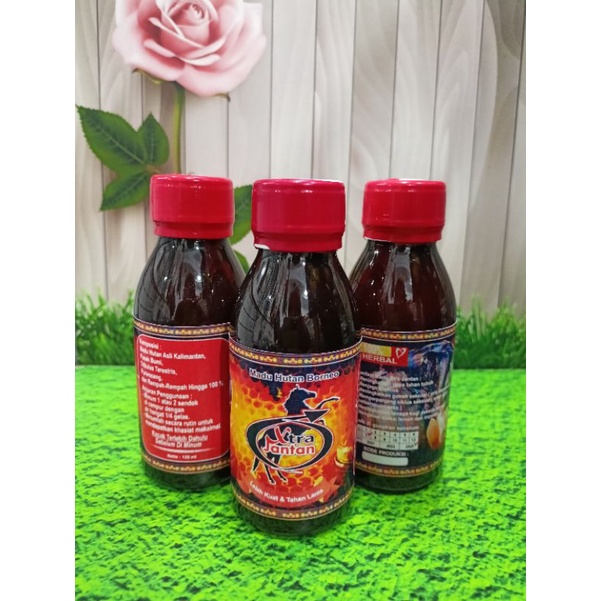 

madu hutan borneo