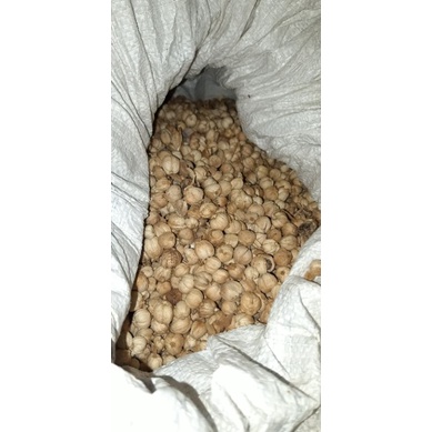 

kapulaga premium 50 gram