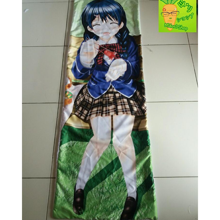 Unik Dakimakura Tadokoro Megumi plus isi BAGUS