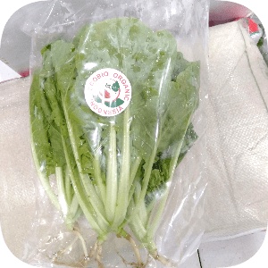 

Sawi Keriting Ecobio 1 bungkus