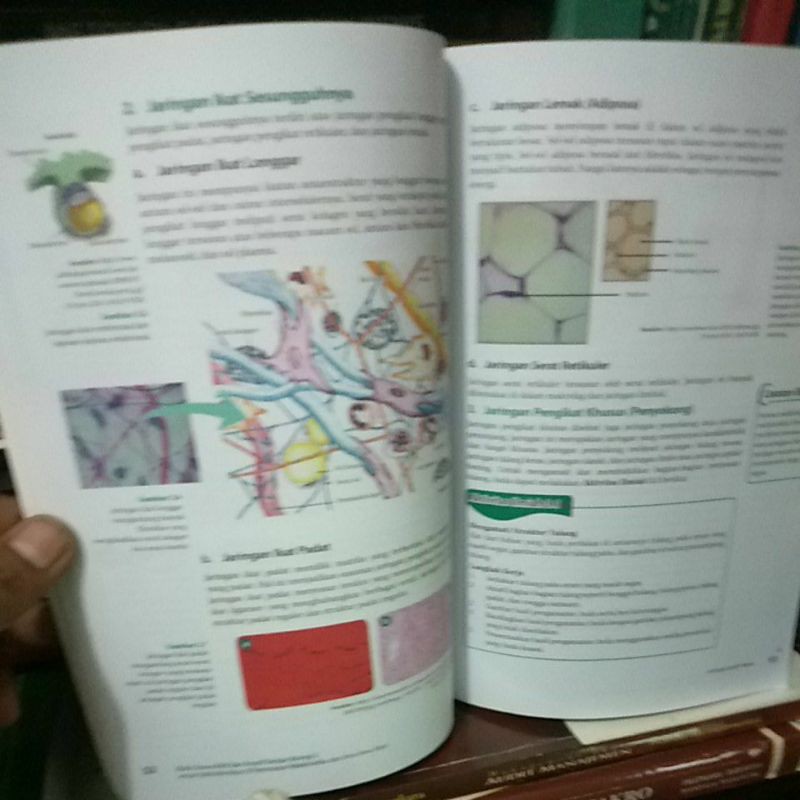 BIOLOGI KELAS 11 /XI/ 2 SMA GRAFINDO REVISI-2