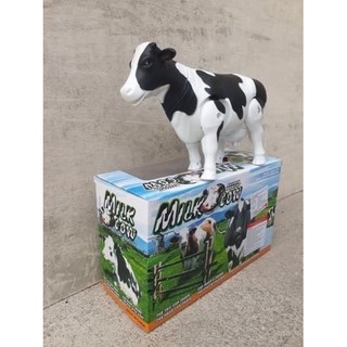 8300 Gambar Hewan Sapi Lucu HD