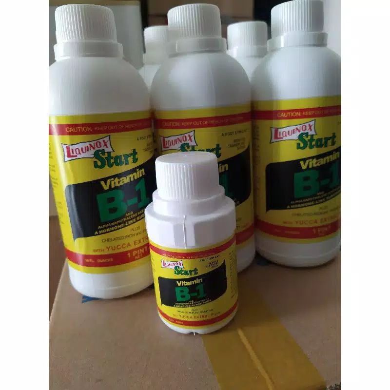 Liquinox B1