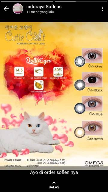 SOFTLENS CUTIE EYES BIG EYES