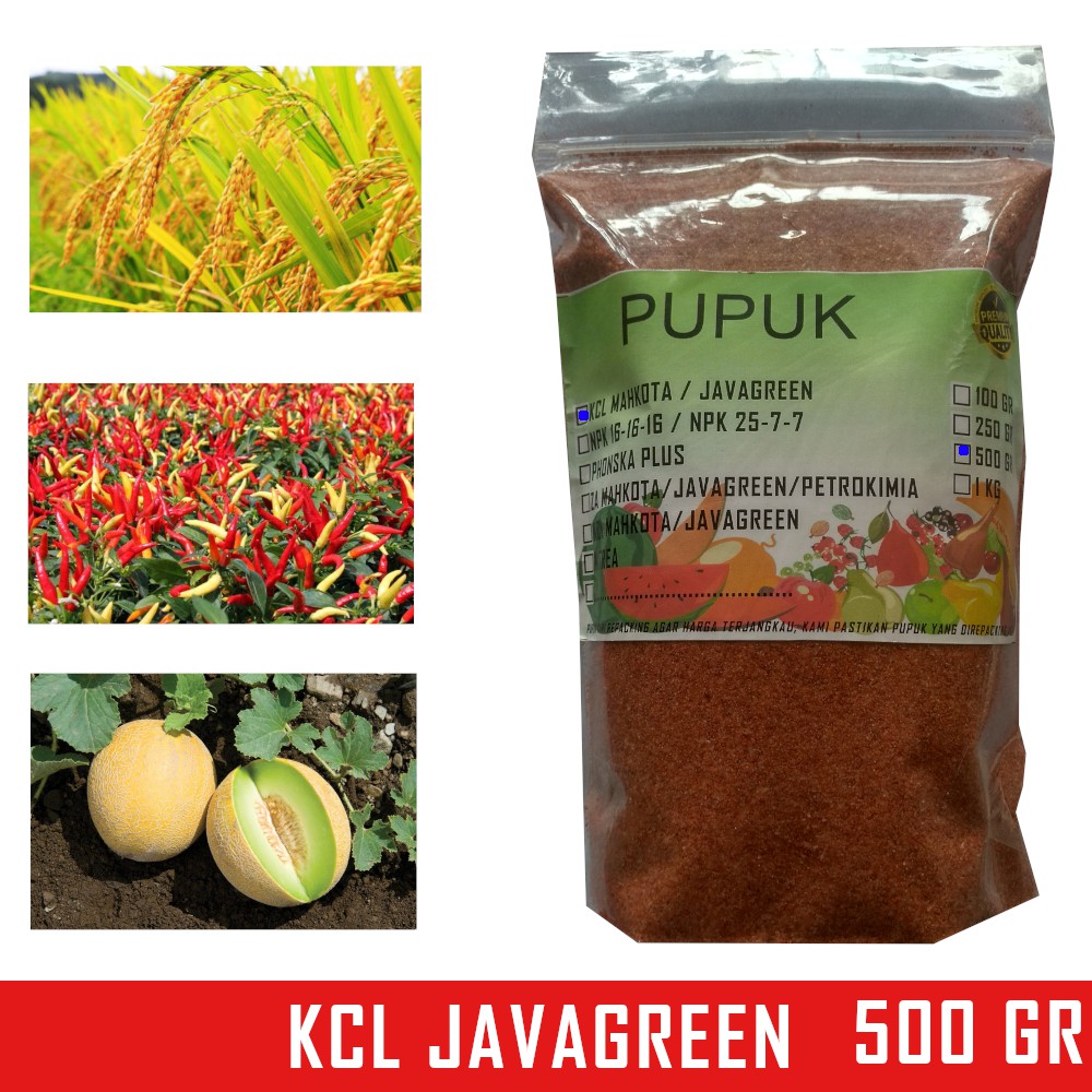 Pupuk KCL 500 Gram