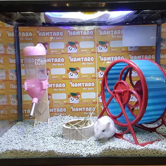 terarium kandang hamster aquarium paket hemat